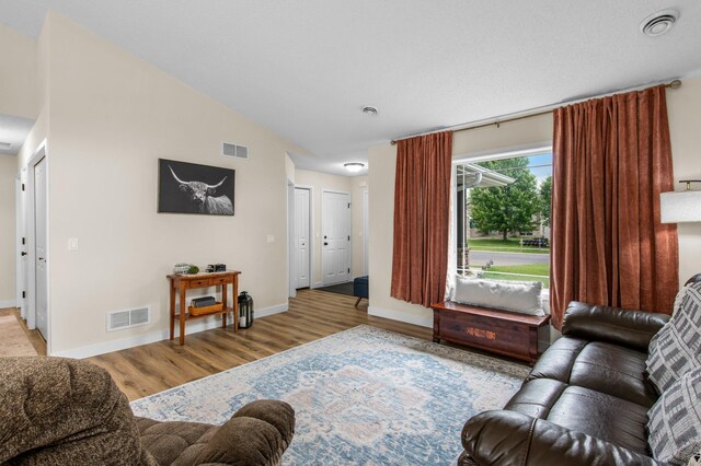 783 Park Brook Rd NW, Isanti, MN 55040 - living room featuring wood finished floors, baseboards, and lofted ceiling