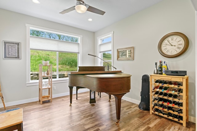 1884 Alexander Rd NE, Rochester, MN 55906 - sitting room featuring a ceiling fan, healthy amount of natural light, wood finished floors, baseboards, and recessed lighting