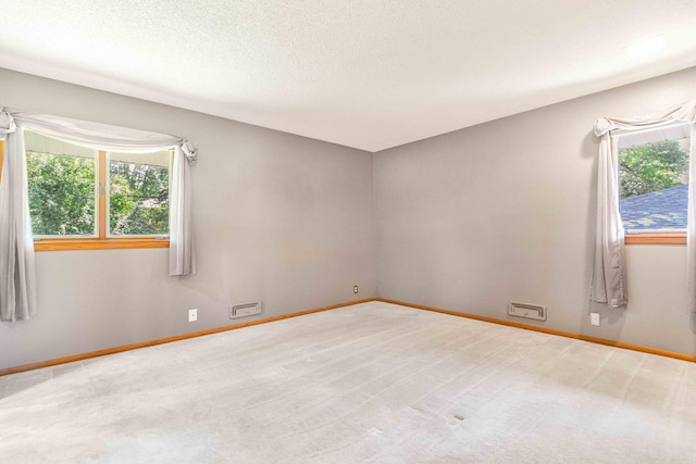 5313 Birchcrest Dr, Edina, MN 55436 - spare room with healthy amount of natural light, baseboards, carpet flooring, and a textured ceiling
