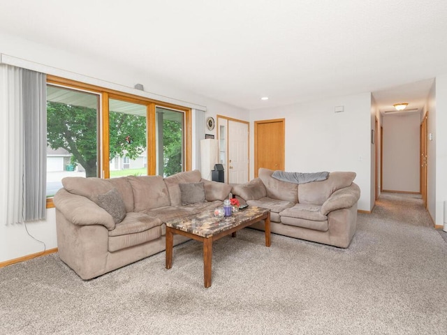 471 Brad St, Hamburg, MN 55339 - photo 10