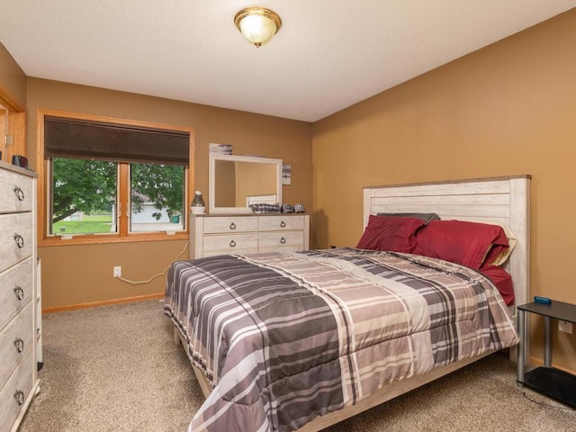 471 Brad St, Hamburg, MN 55339 - photo 20