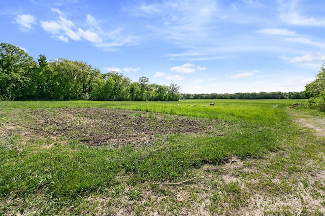 10758 460th St SE, Fertile, MN 56540 - photo 53