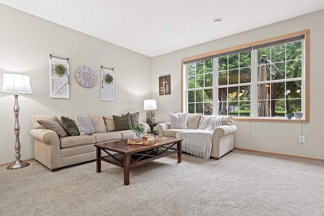 3537 Cherry Ln Unit C, Woodbury, MN 55129 - carpeted living area with baseboards