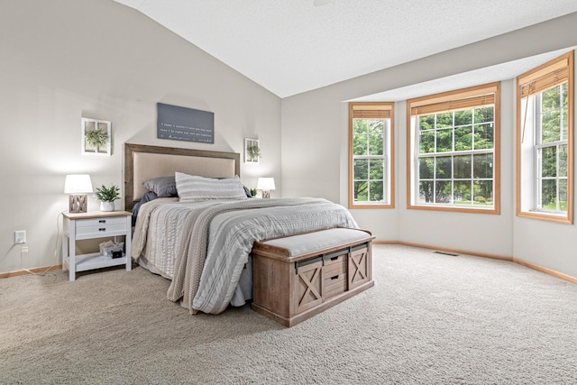 3537 Cherry Ln Unit C, Woodbury, MN 55129 - bedroom featuring carpet flooring and vaulted ceiling