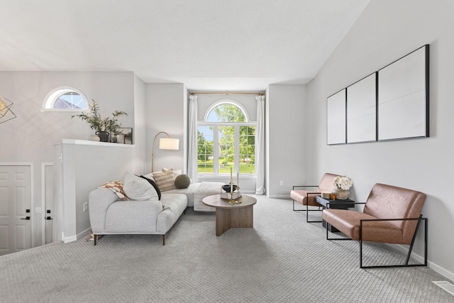 104 Bison Ct, Buffalo, MN 55313 - carpeted living area featuring plenty of natural light
