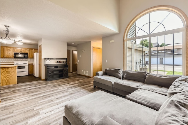 1127 Ridgestone Pl, Buffalo, MN 55313 - living area with light wood-style floors and baseboards