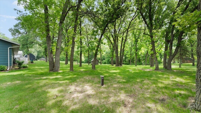 18945 Agent Dr, Sauk Centre, MN 56378 - photo 41