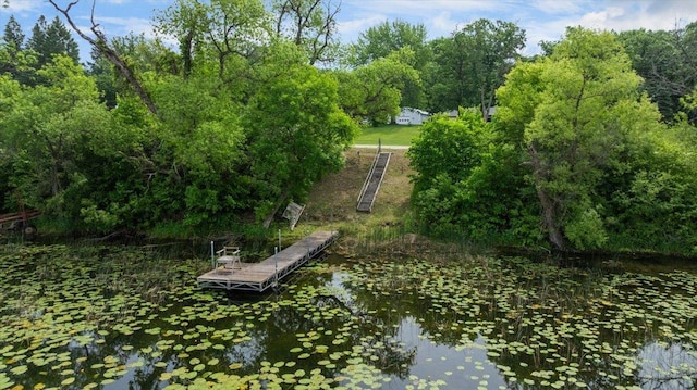 18945 Agent Dr, Sauk Centre, MN 56378 - photo 48