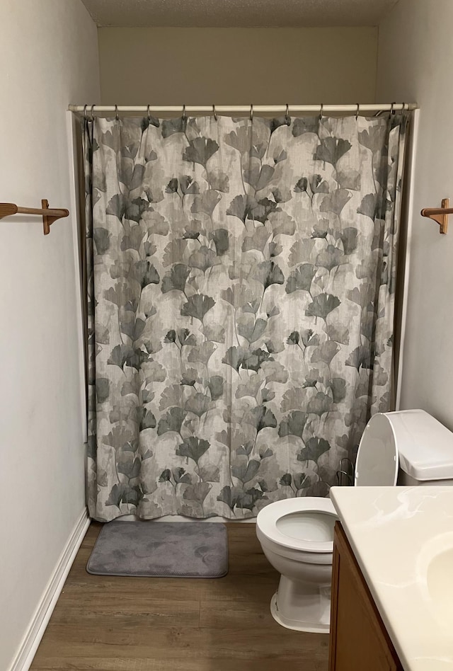 1332D Carriage Dr, Hudson, WI 54016 - bathroom featuring wood finished floors, toilet, vanity, and a shower with curtain