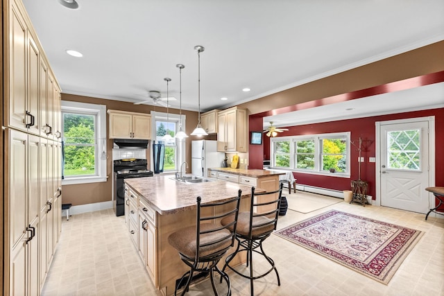 35746 585th Ave, Lafayette, MN 56054 - kitchen with black / electric stove, ceiling fan, freestanding refrigerator, under cabinet range hood, and crown molding