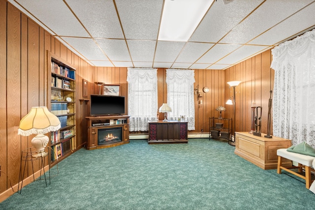 35746 585th Ave, Lafayette, MN 56054 - living area with wood walls, carpet, and a baseboard heating unit