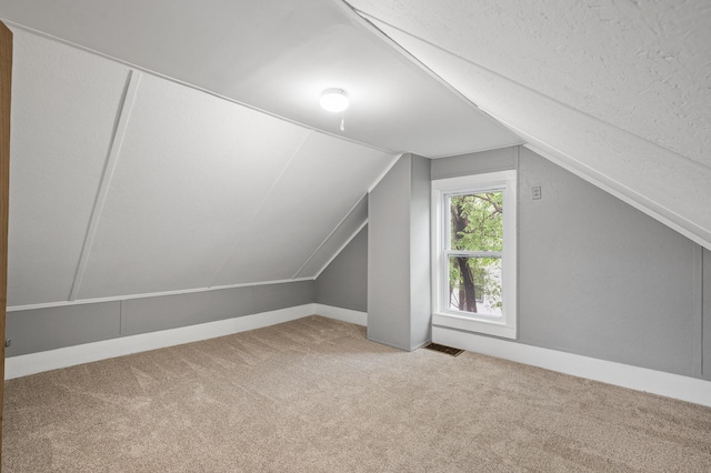 414 Western Ln, Anoka, MN 55303 - additional living space with carpet flooring and vaulted ceiling