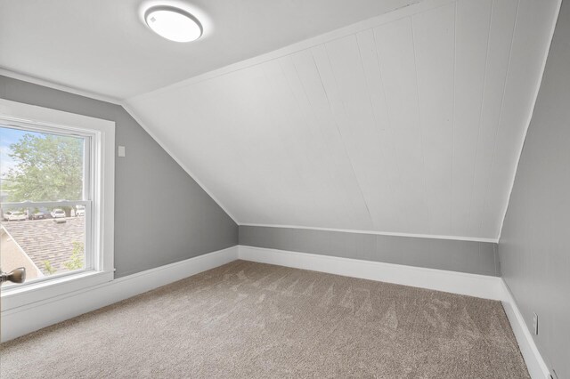 414 Western Ln, Anoka, MN 55303 - additional living space with carpet, vaulted ceiling, and baseboards