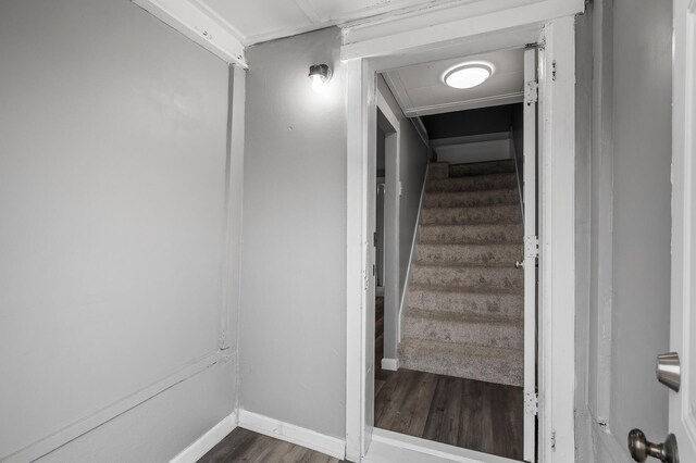 414 Western Ln, Anoka, MN 55303 - staircase with wood finished floors and baseboards