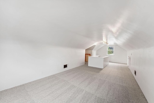 225 7th Ave NE, Osseo, MN 55369 - bonus room featuring light colored carpet and lofted ceiling