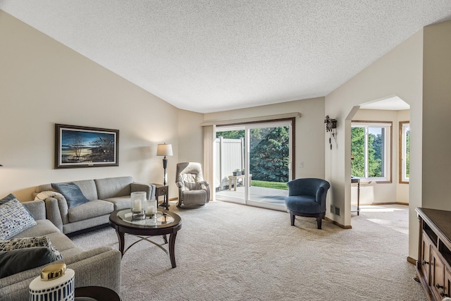 7582 Ojibway Park Bay, Woodbury, MN 55125 - living room with carpet flooring, a textured ceiling, arched walkways, and lofted ceiling