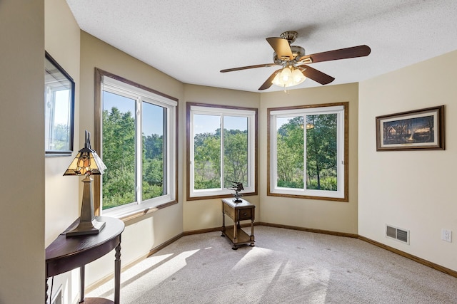 7582 Ojibway Park Bay, Woodbury, MN 55125 - spare room featuring healthy amount of natural light, light carpet, ceiling fan, and a textured ceiling