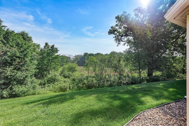 7582 Ojibway Park Bay, Woodbury, MN 55125 - view of grassy yard with a forest view