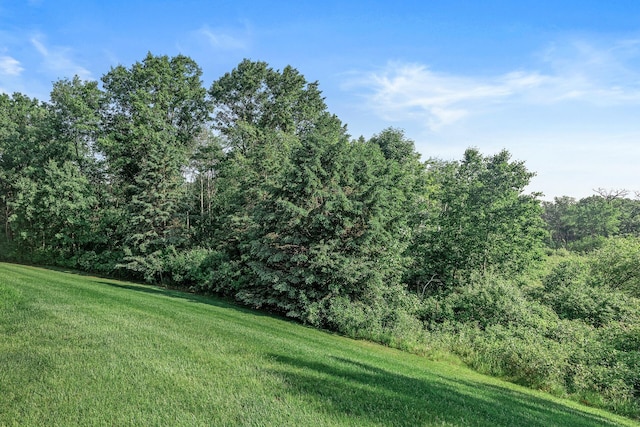 7582 Ojibway Park Bay, Woodbury, MN 55125 - view of green lawn with a wooded view