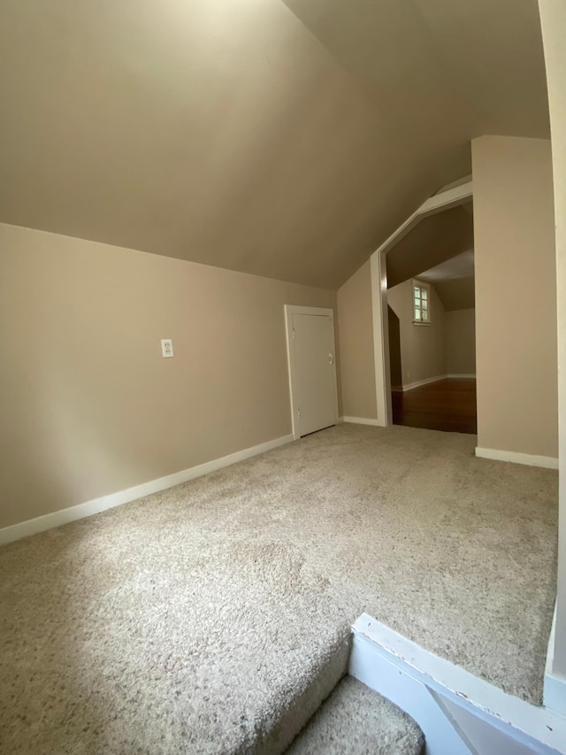 1315 Clark St W, Albert Lea, MN 56007 - bonus room with carpet flooring and lofted ceiling