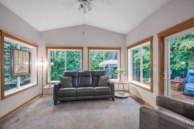 10426 Hidden Oaks Ln N, Champlin, MN 55316 - carpeted living area with ceiling fan, plenty of natural light, and lofted ceiling