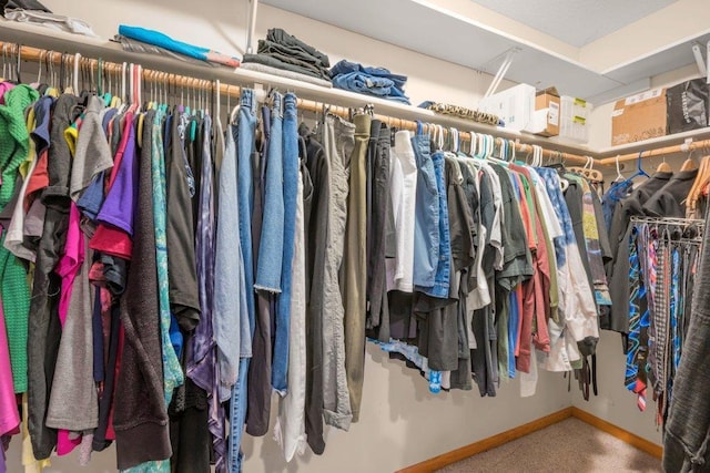 10426 Hidden Oaks Ln N, Champlin, MN 55316 - view of walk in closet