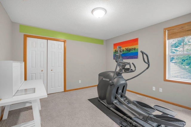 10426 Hidden Oaks Ln N, Champlin, MN 55316 - workout area with carpet floors and a textured ceiling