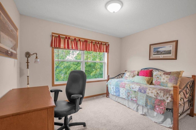 10426 Hidden Oaks Ln N, Champlin, MN 55316 - carpeted bedroom featuring an office area and a textured ceiling