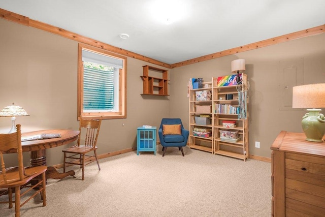 10426 Hidden Oaks Ln N, Champlin, MN 55316 - carpeted office featuring baseboards