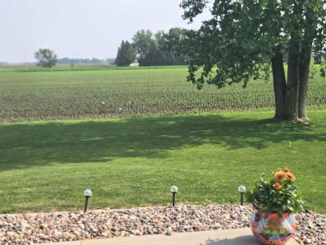 924 3rd Ave SE, Hayfield, MN 55940 - view of green lawn with a rural view