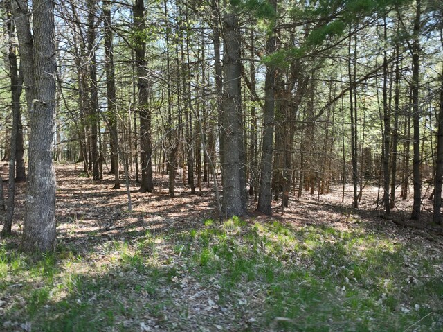 TBD County Road 14, Little Elk Twp, MN 56438