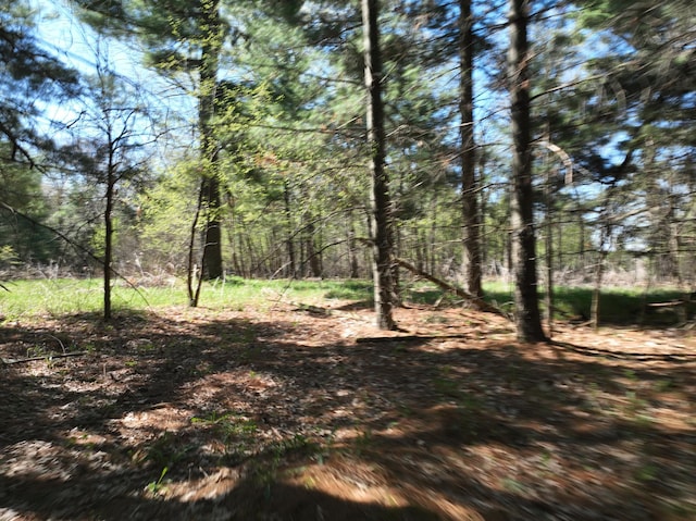 TBD County Road 14, Little Elk Twp, MN 56438