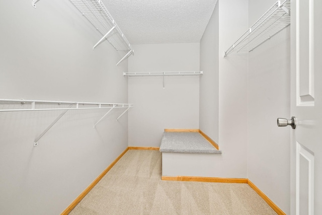 8280 Labont Way, Eden Prairie, MN 55344 - walk in closet featuring carpet