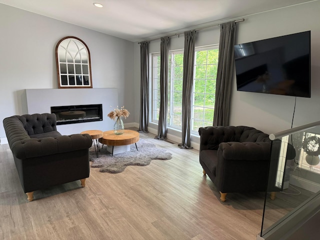 2120 Walden Blvd NW, Oak Grove, MN 55011 - living room featuring light wood-style flooring, a glass covered fireplace, and recessed lighting