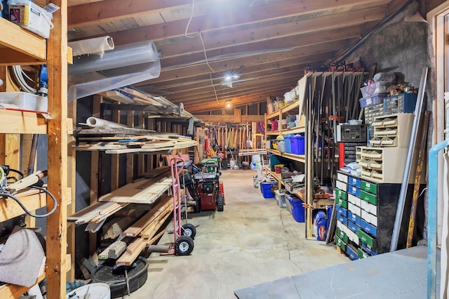 14789 Fireside Cir, Cold Spring, MN 56320 - view of storage