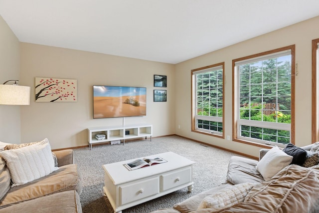 2097 138th St W, Rosemount, MN 55068 - living room with baseboards and carpet flooring