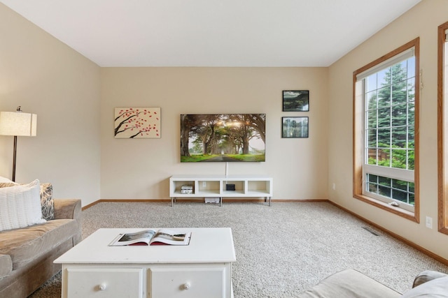 2097 138th St W, Rosemount, MN 55068 - carpeted living area with baseboards