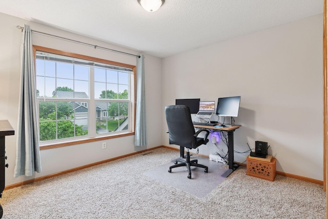 2097 138th St W, Rosemount, MN 55068 - office featuring carpet floors and a textured ceiling