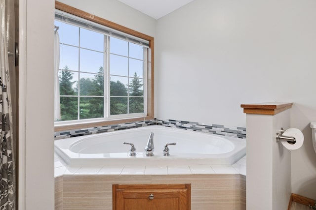 2097 138th St W, Rosemount, MN 55068 - bathroom featuring a garden tub and toilet