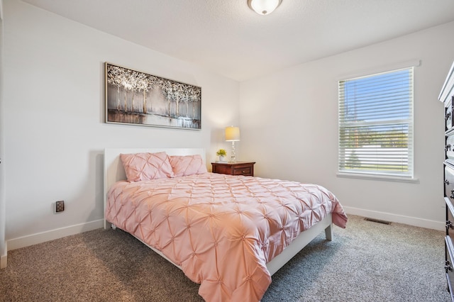 1241 136th St W, Rosemount, MN 55068 - photo 15
