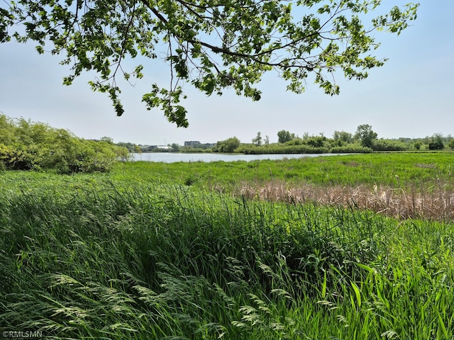 13560 Technology Dr Unit 1102, Eden Prairie, MN 55344 - view of local wilderness with a nearby body of water
