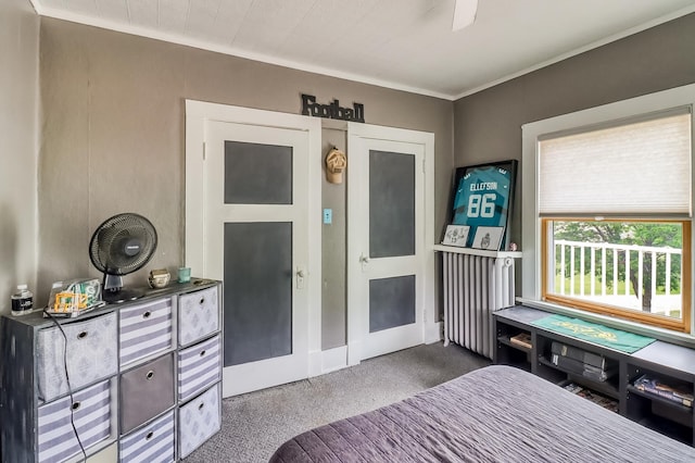 1782 225th St N, Hawley, MN 56549 - view of carpeted bedroom