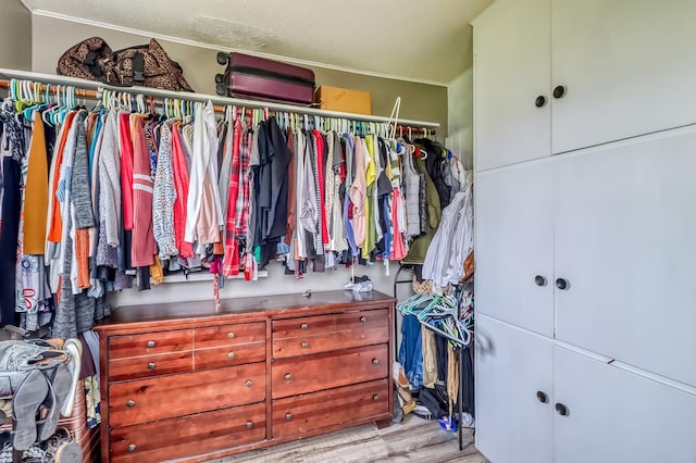 1782 225th St N, Hawley, MN 56549 - walk in closet with wood finished floors