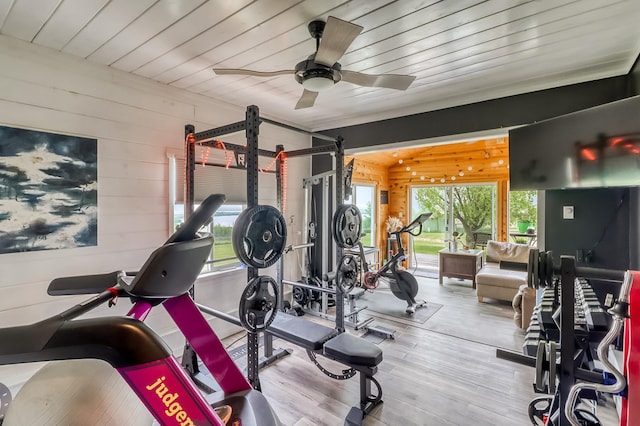 1782 225th St N, Hawley, MN 56549 - exercise room with wood walls, healthy amount of natural light, wood finished floors, and a ceiling fan