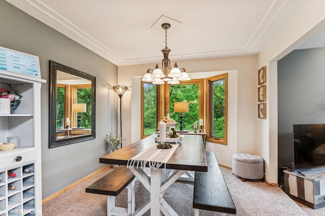 21857 Iden Avenue Pl N, Forest Lake, MN 55025 - dining room featuring healthy amount of natural light, a chandelier, carpet flooring, a textured ceiling, and baseboards