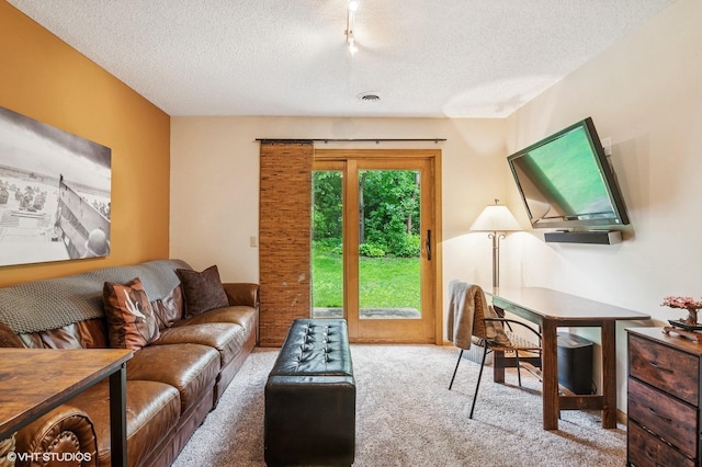 21857 Iden Avenue Pl N, Forest Lake, MN 55025 - living room with carpet and a textured ceiling