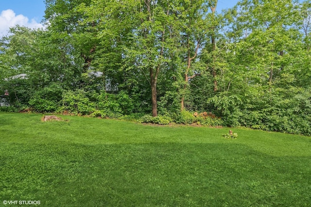 21857 Iden Avenue Pl N, Forest Lake, MN 55025 - view of grassy yard