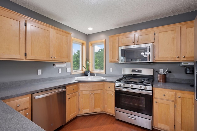 19470 Zumbro Ct NW, Elk River, MN 55330 - kitchen featuring appliances with stainless steel finishes, a sink, light brown cabinetry, a textured ceiling, and dark wood-style floors