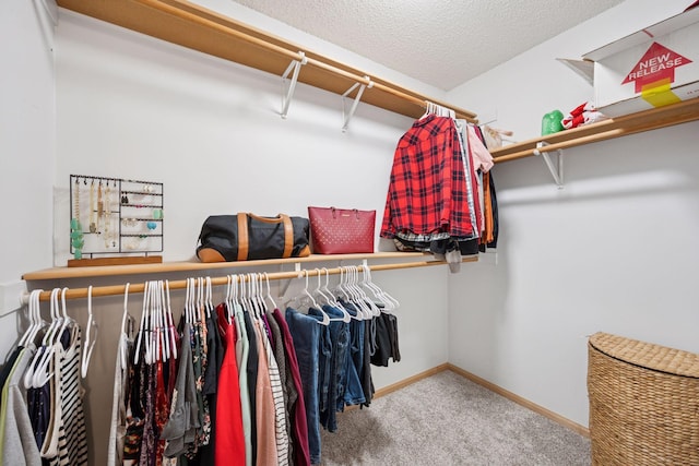 19470 Zumbro Ct NW, Elk River, MN 55330 - spacious closet with carpet
