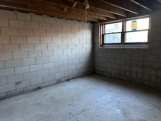 905 Fuller Ave, Saint Paul, MN 55104 - basement featuring concrete block wall